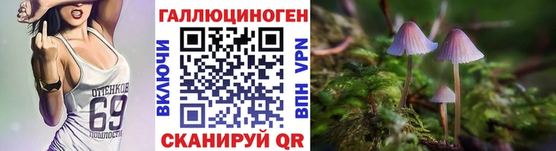 Купить  Нижнеудинск  Псилоцибиновые грибы Psilocybine cubensis 