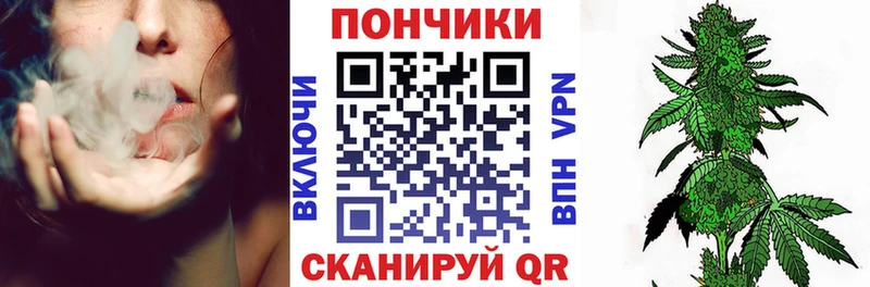 Бошки Шишки семена  Купить  Нижнеудинск 